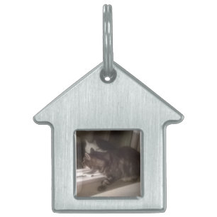 Niet met jou praten Dave House Pet Tag Huisdieren Naamplaatje