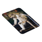 Niet mijn circus, niet mijn apen magneet (Rechterzijde)