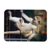 Niet mijn circus, niet mijn apen magneet (Horizontaal)