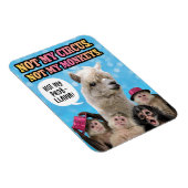 Niet mijn Circus, niet mijn apen, niet mijn ProbLl Magneet (Rechterzijde)