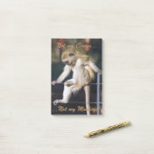 Niet mijn circus, niet mijn apen Post It pads Post-it® Notes (Op bureau)