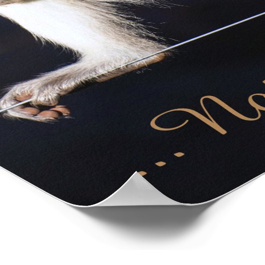 Niet mijn circus, niet mijn apen poster (Hoek)