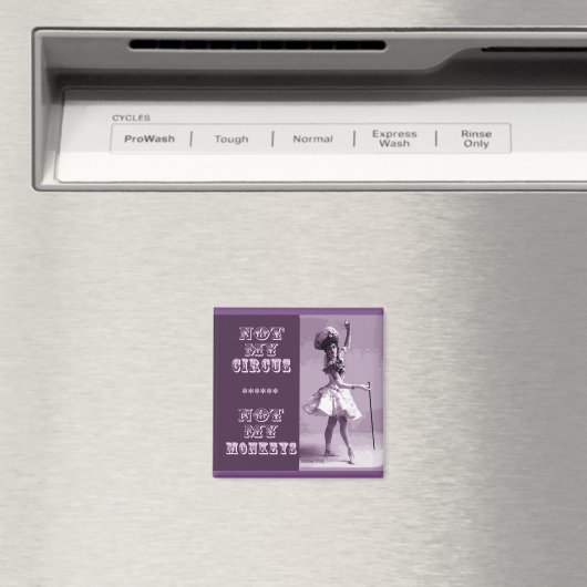 Niet mijn circusmagneet magneet (Insitu (Vaatwasser))