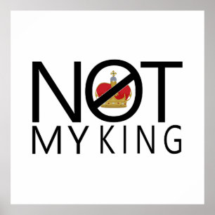 Niet mijn koning poster
