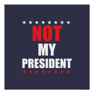 Niet mijn President Poster