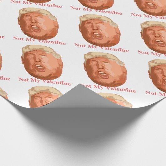 niet mijn valentijn cadeaupapier (Hoek)