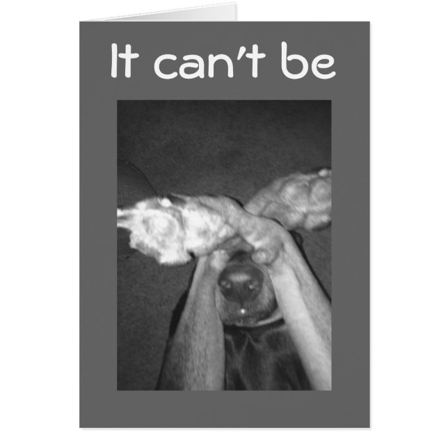 NIET MOGELIJK - * * * 30th * * * ZEGT GEMAAKT DOG (Voorkant)