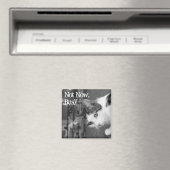 "Niet nu, bezig" Kribbige katmagneet Magneet (Insitu (Vaatwasser))