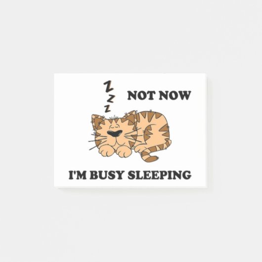 NIET NU, IK BEN BUSY SLEEPING POST-IT® NOTES (Voorkant)