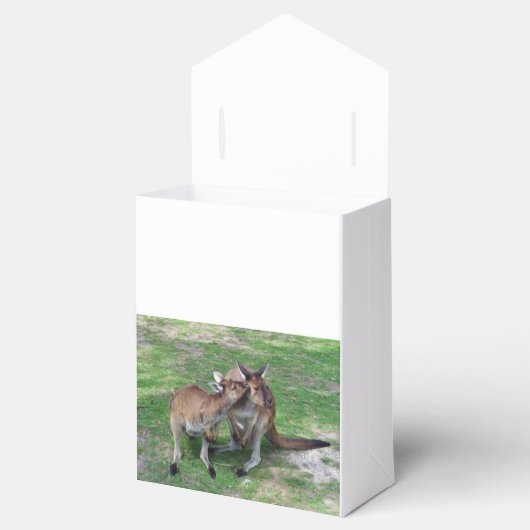 Niet nu Skippy Bedankdoosjes (Geopend)