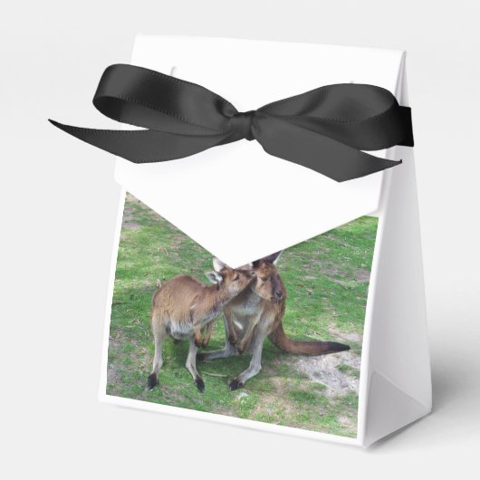 Niet nu Skippy Bedankdoosjes (Voorkant Zijde)