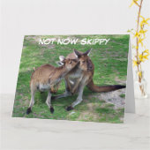 Niet nu Skippy Blank Wenskaart Kaart (Gele Bloem)