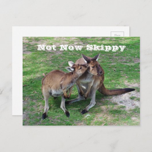 Niet nu Skippy Briefkaart (Voorkant / Achterkant)