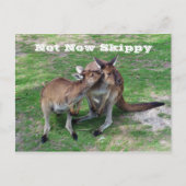 Niet nu Skippy Briefkaart (Voorkant)