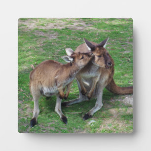 Niet nu Skippy Fotoplaat