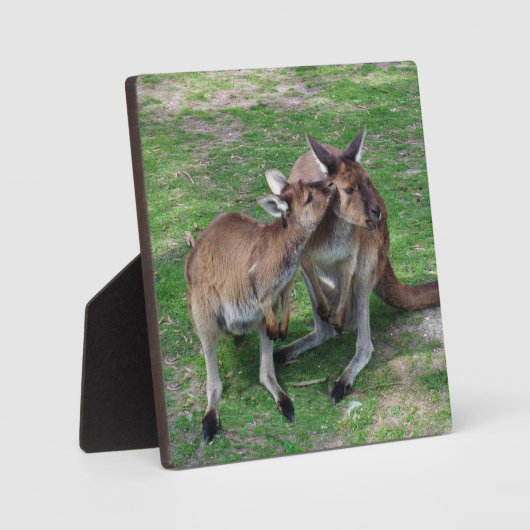 Niet nu Skippy Fotoplaat (Voorkant)