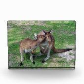 Niet nu Skippy Photo Block Fotoblokken (Voorkant)