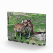 Niet nu Skippy Photo Block Fotoblokken (Rechts)