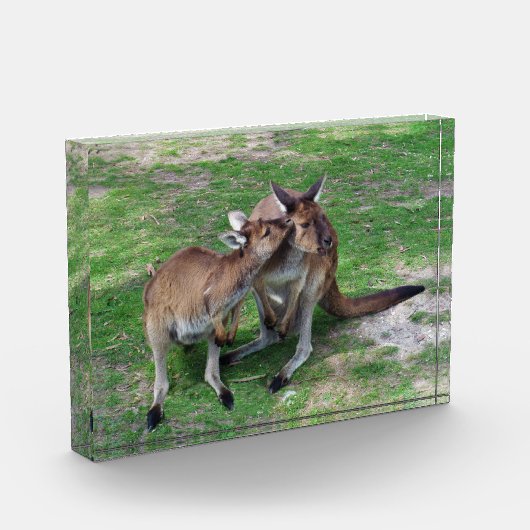 Niet nu Skippy Photo Block Fotoblokken (Links)