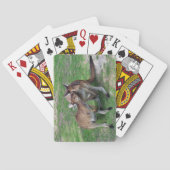 Niet nu Skippy Pokerkaarten (Achterkant)