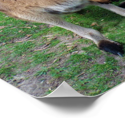 Niet nu Skippy Poster (Hoek)