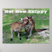 Niet nu Skippy Poster (Voorkant)
