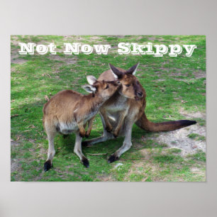 Niet nu Skippy Poster