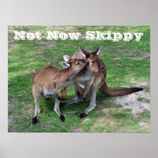 Niet nu Skippy Poster (Voorkant)