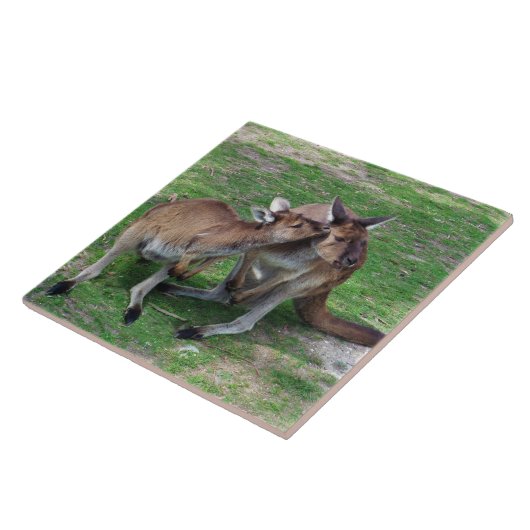 Niet nu Skippy Tegeltje (Zijkant)