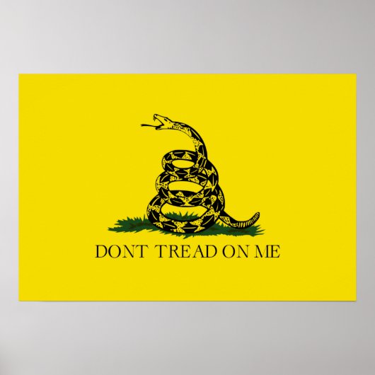 Niet op me laken met Gadsden American Flag Poster (Voorkant)