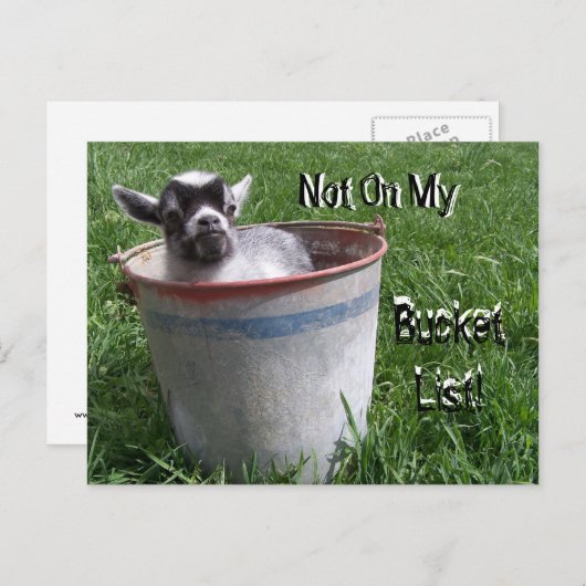 Niet op mijn Bucket lijst! Geitte in een Briefkaar Briefkaart (Voorkant / Achterkant)
