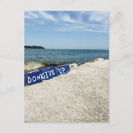 "Niet opgeven op Rocks op Put-in-Bay"-kaart Briefkaart (Voorkant)