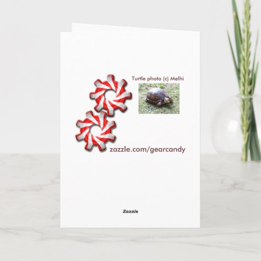 Niet Oude schildpad - - Verjaardag Kaart (Achterkant)