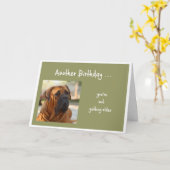 Niet ouder worden dan een hond van de Fun Bulldog Kaart (Gele Bloem)