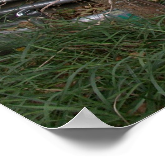 Niet overal poster (Hoek)