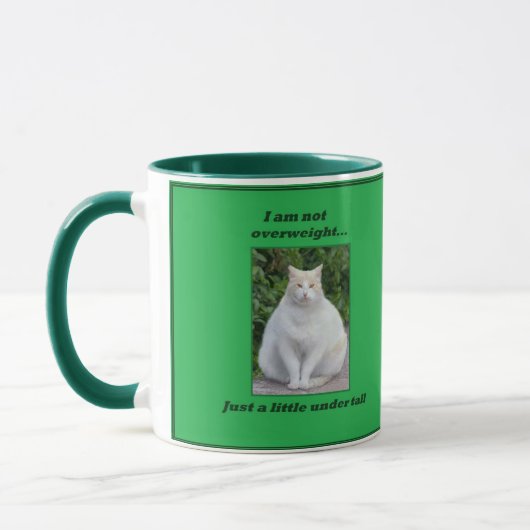 Niet-overgewicht mok katten (Links)