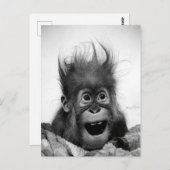 NIET PANIEK! Briefkaart (Voorkant / Achterkant)