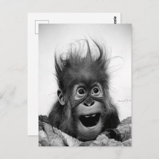 NIET PANIEK! Briefkaart (Voorkant / Achterkant)