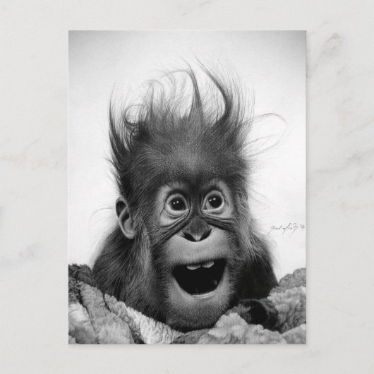 NIET PANIEK! Briefkaart (Voorkant)