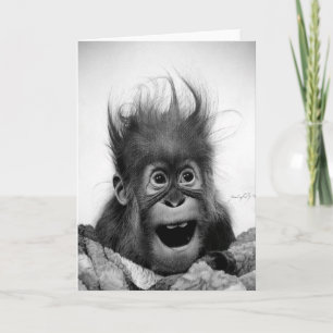 NIET PANIEK! Wenskaart Kaart