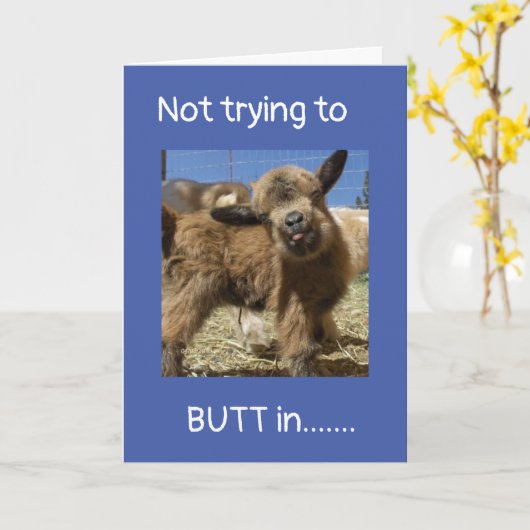 NIET PROBEREN OM **BUTT ** IN OP UW (40e VERJAARDA Kaart (Gele Bloem)