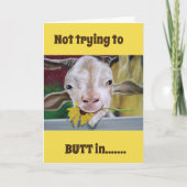 NIET PROBEREN OM **BUTT ** IN OP UW (60ste VERJAAR Kaart (Voorkant)