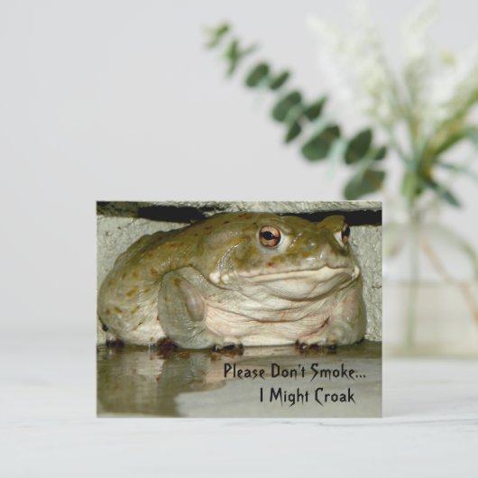 Niet roken, alsjeblieft... ik kan wel een krok zij briefkaart (Staand voorkant)