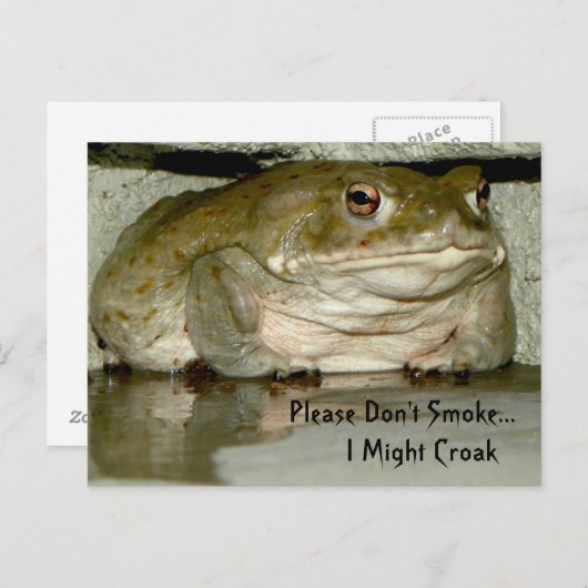 Niet roken, alsjeblieft... ik kan wel een krok zij briefkaart (Voorkant / Achterkant)