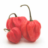 Niet-scherpsmakende pepers sticker (Voorkant)