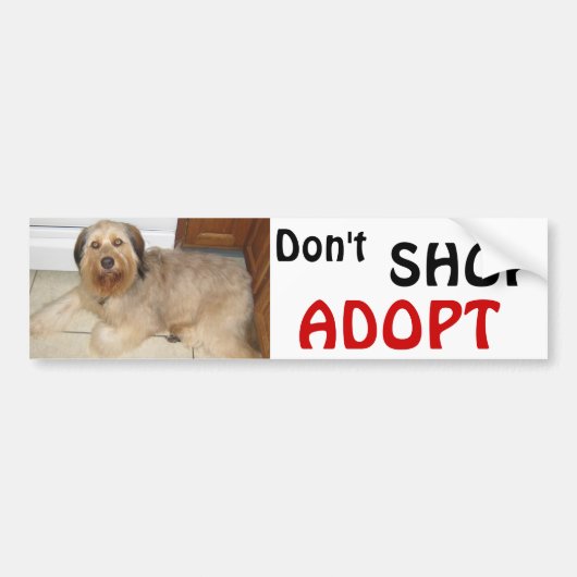 NIET SCHOPPEN ~ ADOPT! BUMPERSTICKER (Voorkant)