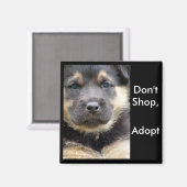 Niet shoppen Adopteer! schapmagneten Magneet (Voorkant / Achterkant)