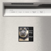 Niet shoppen Adopteer! schapmagneten Magneet (Insitu (Vaatwasser))