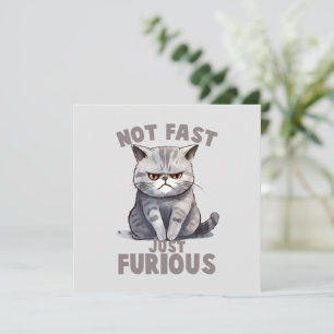 Niet snel, gewoon woedend - Grey Cat Humor