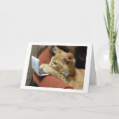 NIET SPINNEND, IK WENS JE EEN VROLIJK KERSTFEEST KAART (Voorkant)